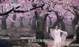 林华最新爆料消息视频,揭秘事件背后惊人真相